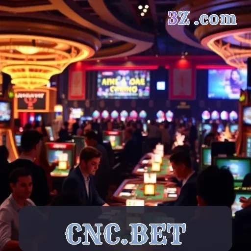 CNC.BET: A Experiência de Bingo Que Você Não Pode Perder
